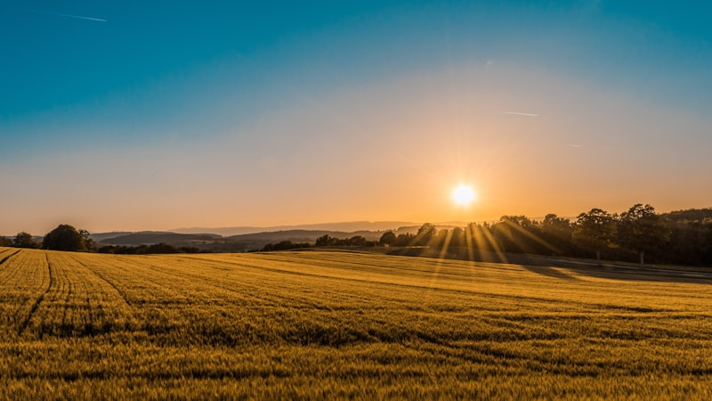 Green Indian Farming Landscape